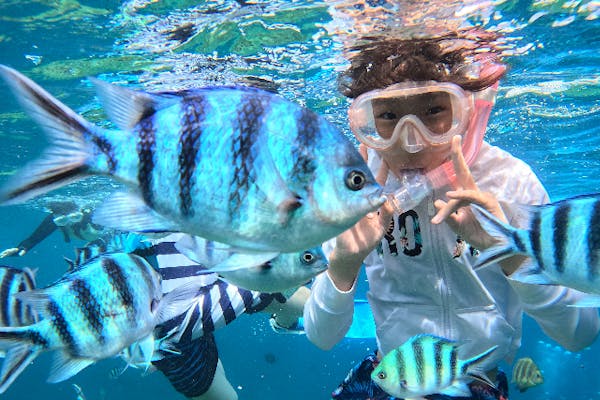 沖縄本島・青の洞窟・ボートシュノーケル】ASOVIEW AWARD受賞店☆最新