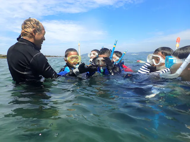 たてやま・海辺の鑑定団
