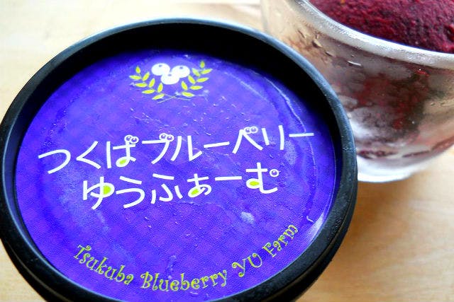 茨城・つくば市・ブルーベリー狩り】大粒で甘い果肉を味わおう