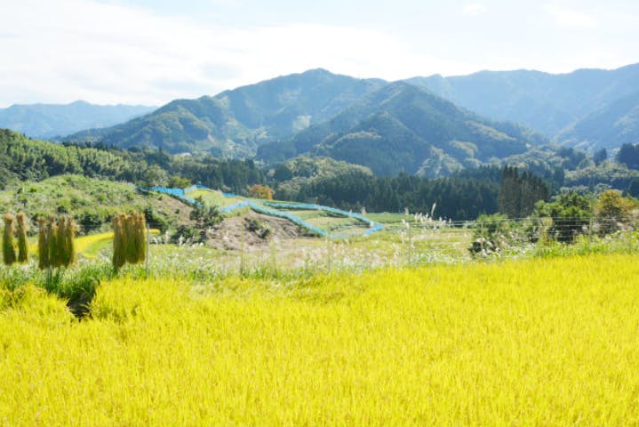 自然屋かわじん
