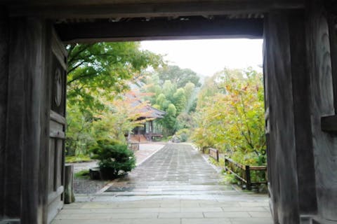 【宮崎・ハイキング】世界農業遺産認定の地域へ！フットパス宮の原コース