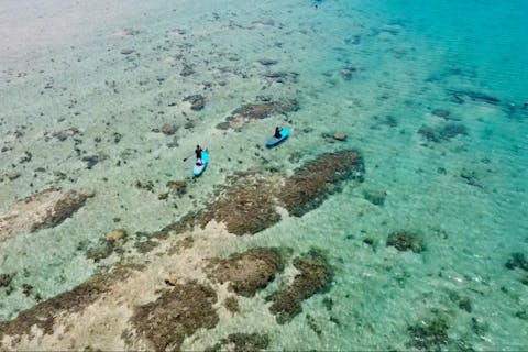 【沖縄・SUP】完全貸切で専門ガイドがレクチャー！初心者歓迎のSUP体験ツアー！ツアー中の写真を無料プレゼント！