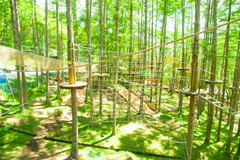 全国 フォレストアドベンチャー 一覧 ネット予約 アソビュー