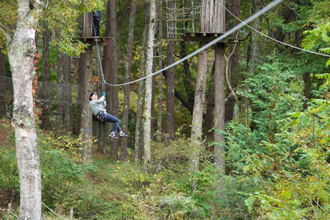 【長野・蓼科・アスレチック】アドベンチャーコース（約120分）森の特徴を活かしたダイナミックでスリル満点のコース。平均高さ10ｍ！