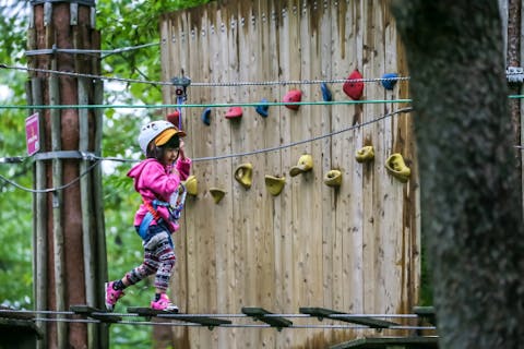 【長野・蓼科・アスレチック】キャノピーコース（約90分）お子様はもちろん、初めての方におすすめ！平均高さ3ｍ