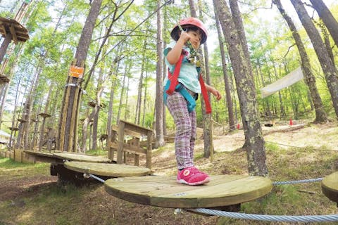 【長野・蓼科・アスレチック】キッズコース（約60分）ちびっこでもチャレンジできる！平均高さ1.5ｍ