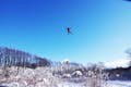 澄み切った空気の中を滑空！3月までの貴重な体験です！