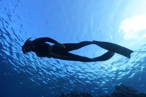 【沖縄・石垣島・素潜り】とっておきスポットへご案内！FUNスキンダイビング！市街地エリア送迎無料！