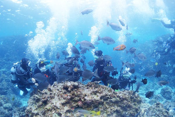 aqua ring（アクアリング）｜ネット予約ならアソビュー！