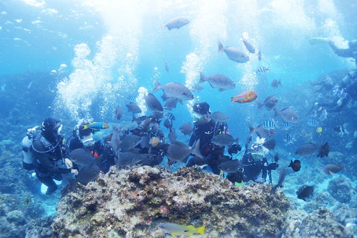 aqua ring（アクアリング）