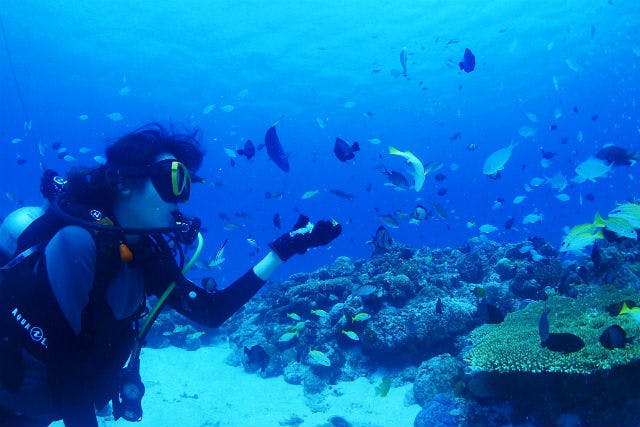 【沖縄・体験ダイビング】やんばるの海へ！本島北部・瀬底島ビーチエントリーコース