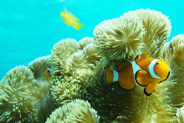 aqua ring（アクアリング）｜ネット予約ならアソビュー！