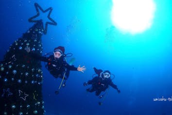 ウェットスーツ　スキューバダイビング　ダイバー　美品　夏レジャー　スポーツ　海 東京発・伊豆ダイビング！/送迎無料！！】ドライスーツ講習＋2ビーチ