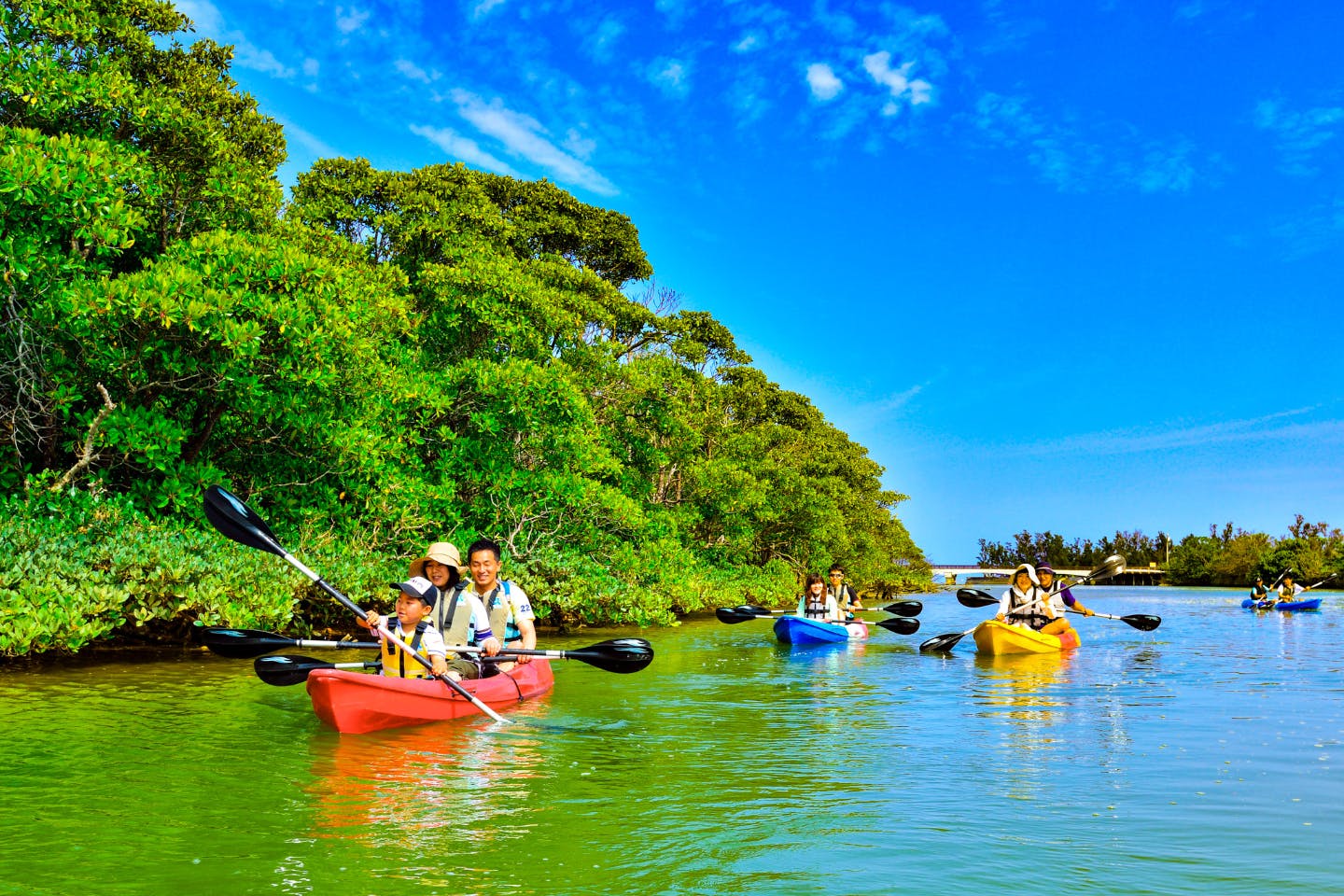 【沖縄・東海岸・マングローブカヤック】探検家気分で億首川のマングローブ林を進もう！ツアー中の写真付き