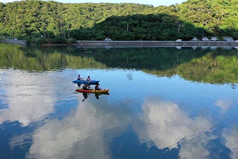 【沖縄・名護市】大浦川マングローブカヤックツアー（約120分）ドローン撮影付き