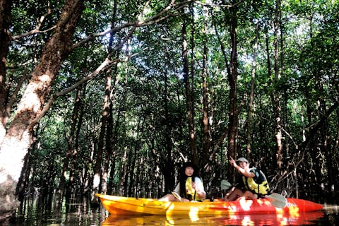 【沖縄・名護市】大浦川マングローブカヤックツアー（約120分）