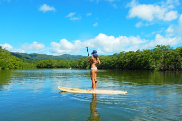 西表島 Sup 西表島マングローブsup 3時間 アソビュー