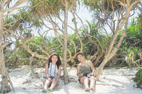 【鹿児島・奄美大島・ガイドツアー】移動ラクラク！ジープで行く奄美絶景ツアー