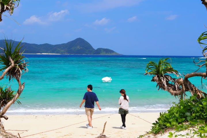 奄美大島 ツアー