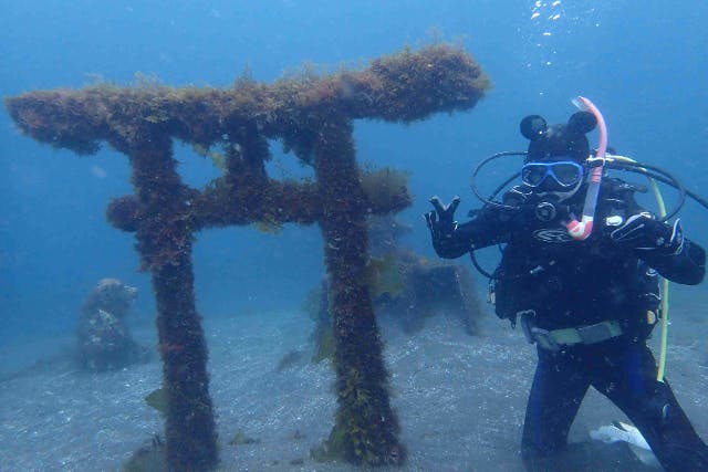 【静岡市ダイビング・伊豆・大瀬崎】静岡駅、から送迎あり　ファンダイブ（2ダイブ）