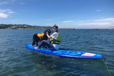 404 LTDⅡ 14.0×23.5 オーシャンSUP！千葉県内は手渡し可能！ 海で！河で！湖で！】水上でゆったり楽しめるSUPボードを4点ご