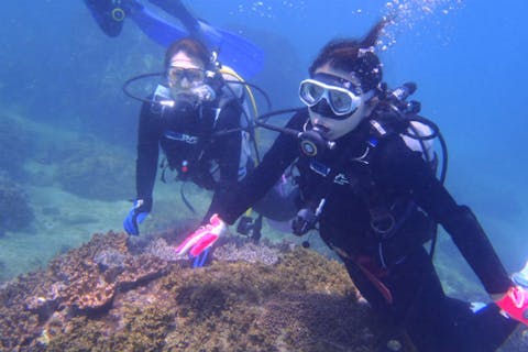 【宮崎・日南市・体験ダイビング】初めての海中散歩・熱帯魚と遊ぼう体験ダイビング(3時間）