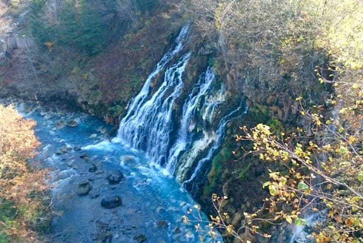 絶景 観光タクシー 北海道 富良野 美瑛をゆったり堪能 北海道の大自然満喫ツアー 送迎付き アソビュー