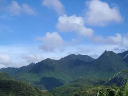 【エコツアー】島内一周★屋久島満喫するならこのプランがオススメ！