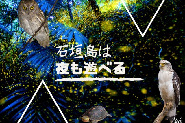 【石垣島は夜も遊べる・ナイトサファリツアー】★レーザー光線を使った星空解説付き★夜のエコツアーで石垣島の自然を見に行こう！