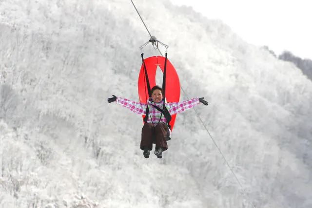 長野 野沢温泉 ジップライン まるで鳥になった気分 標高差122ｍのジップ スカイライド アソビュー