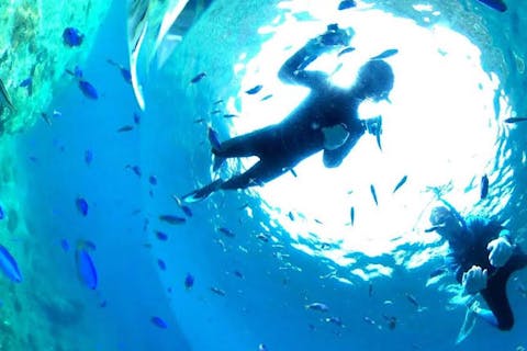 【高知・鵜来島・シュノーケリング】柏島から沖合10kmの離島で海亀ボートシュノーケリング＆堤防釣り＆刺身ランチ付きフル無料レンタルプラン