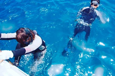 高知県・離島うぐる島・ボートシュノーケル】サンゴ礁や綺麗な魚は