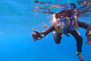 高知県・離島うぐる島・ボートシュノーケル】サンゴ礁や綺麗な魚は
