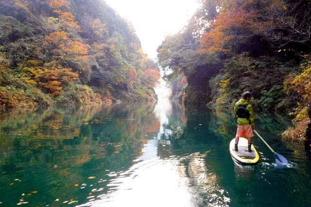 【東京・奥多摩・SUP】みんなで朝活！山に囲まれた湖でのんびり朝SUPツアー