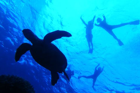 【沖縄・慶良間・体験ダイビング】北谷発！ボート体験ダイビング＆スノーケル1ダイブ