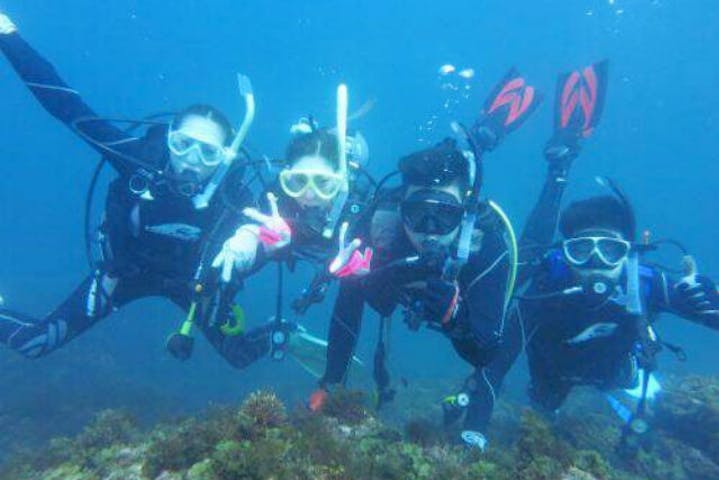 西伊豆ダイビングサービス UMIKOZOU