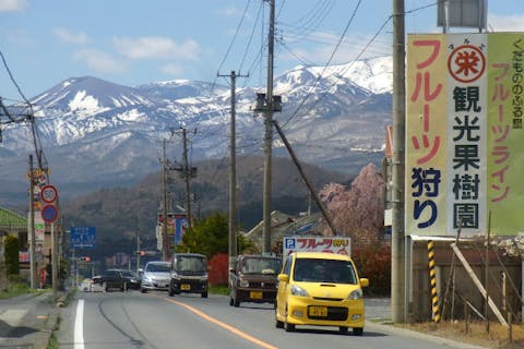 東北 梨狩りの遊び体験 日本最大の体験 遊び予約サイト アソビュー 東北 梨狩りの遊び体験 日本最大の体験 遊び予約サイト アソビュー