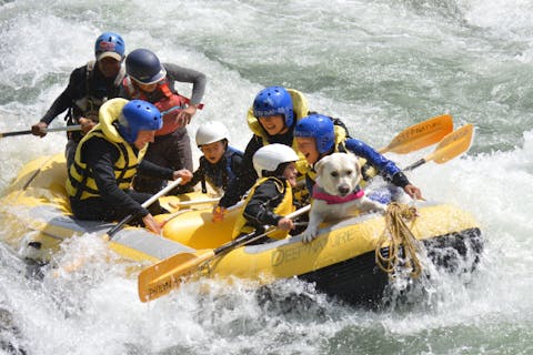 【群馬・みなかみ・ラフティング】夏の特別価格！激流ラフティング！（半日ツアー）