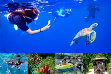 石垣島＞少人数制・当日予約OK！【ウミガメ遭遇率99％】青の洞窟探検＋