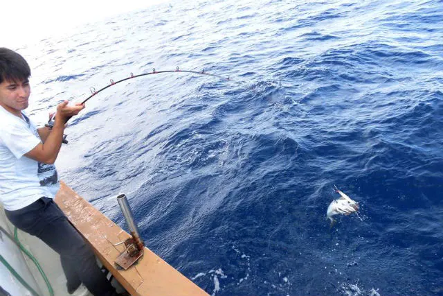 沖縄 本部 釣り マグロ カツオ シーラ狙い パヤオ釣り 4時間 アソビュー