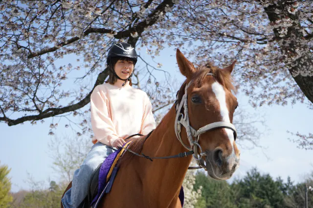 【鳥取・大山町・乗馬】スタッフが馬を引いてくれるから安心♪「ひき馬コース」