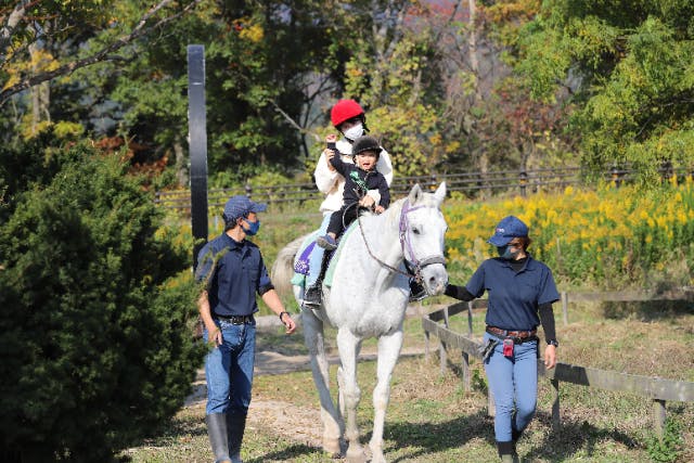 【鳥取・大山町・乗馬】スタッフが馬を引いてくれるから安心♪「引き馬コース」