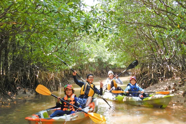 沖縄北部 マングローブカヌー 2時間 最大4艇までの少人数 美ら海水族館から車で50分 ゆったり慶佐次川マングローブカヌー アソビュー