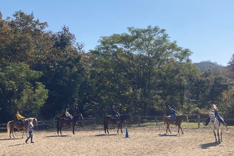 【京都・乗馬レッスン】初心者歓迎！基礎から学べる充実の30分体験プラン！