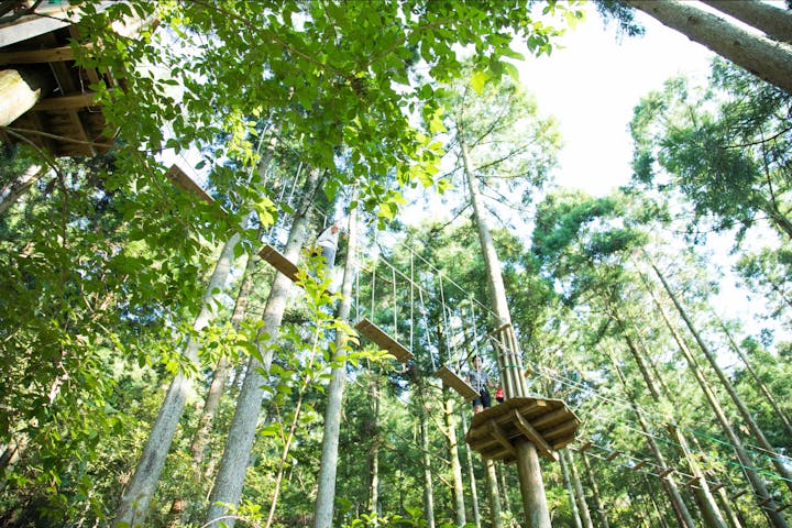 フォレストアドベンチャー・丹波ささやま
