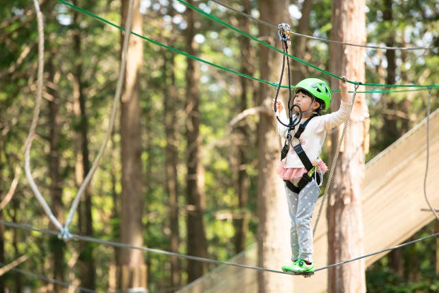 【兵庫・丹波・フォレストアドベンチャー】110cm以上から・遊べる森の本格的冒険コース！！