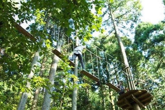 兵庫・丹波・フォレストアドベンチャー】110cm以上から・遊べる森の
