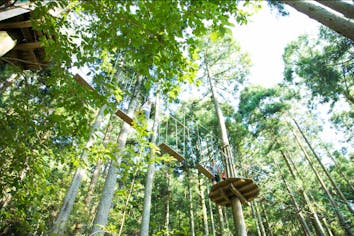 兵庫・丹波・フォレストアドベンチャー】すべてのコース（8サイト48