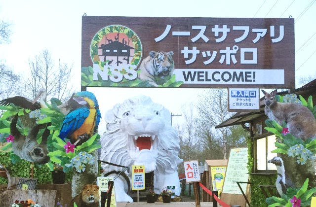 北海道 札幌 動物園 キリンと一緒に朝ごはん 入園券 おやつやり付き アソビュー