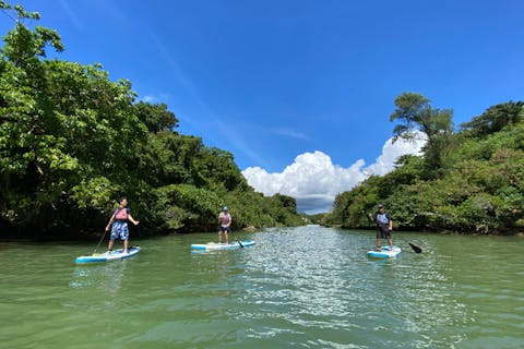 沖縄/嘉手納　マングローブSUP＆フィッシングのセットプラン☆《6歳～参加可・撮影データ無料・釣れたお魚は近くの食堂でお食事可能！》